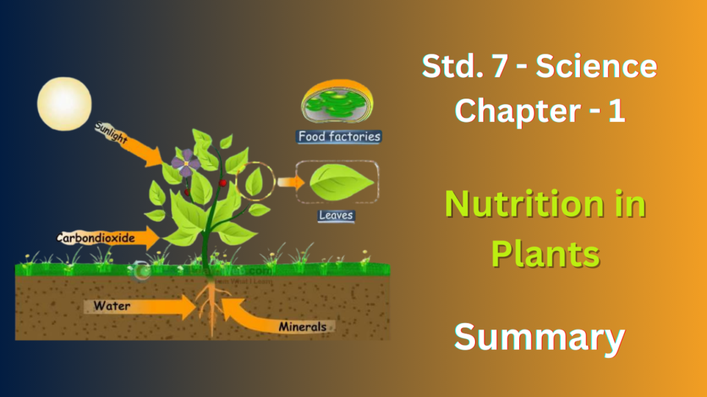 NCERT Solutions for Class 7 Science Chapter 1: Nutrition in Plants ...
