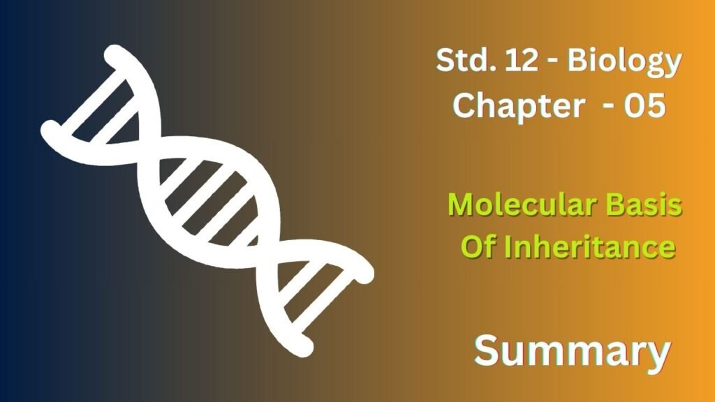 Class 12 Biology Chapter 5 – Molecular Basis of Inheritance