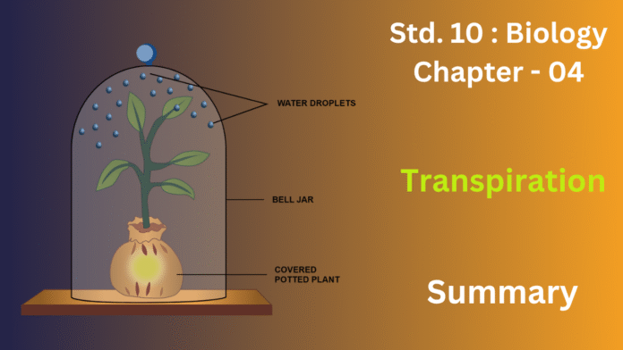 Summary (1080 x 1080 px) (1280 x 720 px) (34)