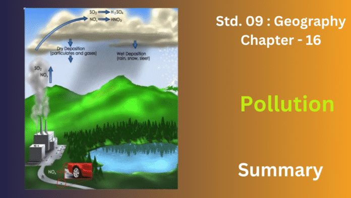 education 85website post (19)