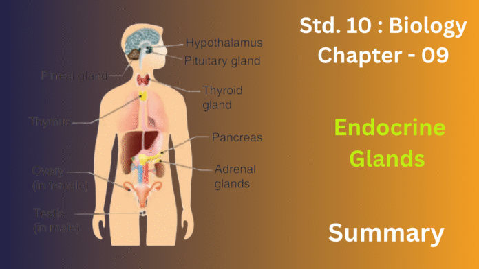 education 85website post (5)