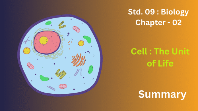 education 85website post (92)