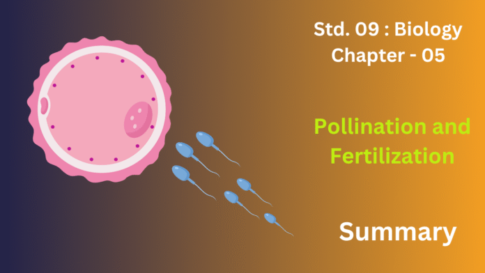 education 85website post (95)