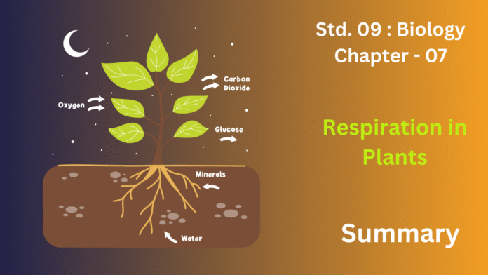 education 85website post (98)