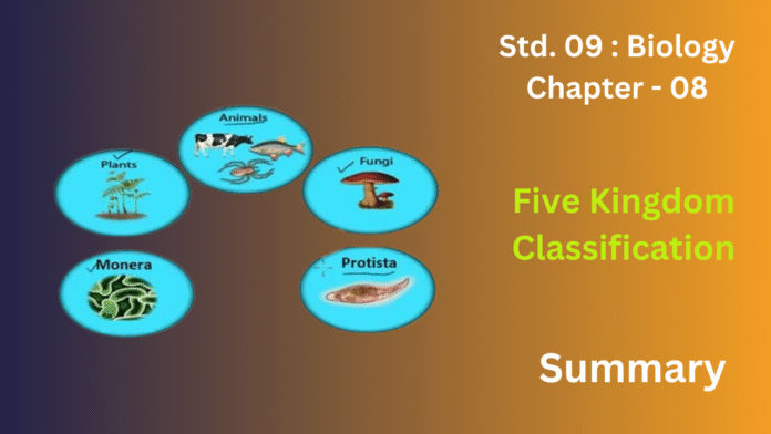 education 85website post (99)