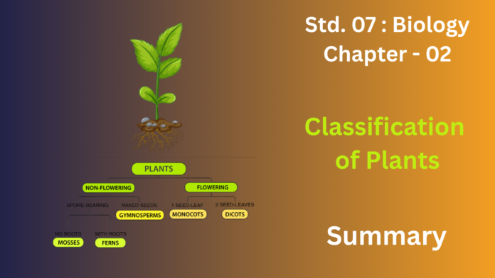 education 85website post - 2025-12-17T165751.962