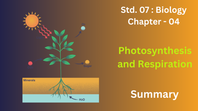 education 85website post - 2025-12-17T170627.853