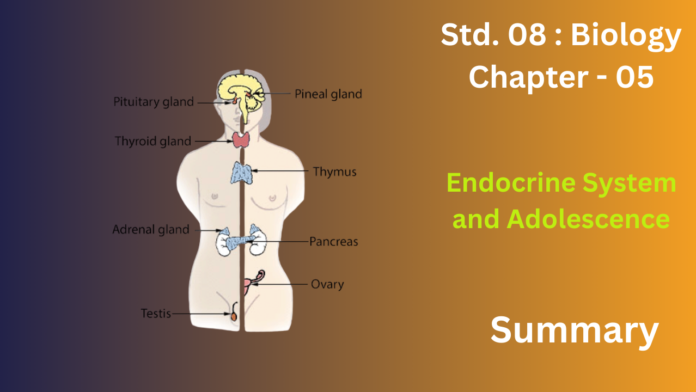 education 85website post - 2025-12-17T205000.562