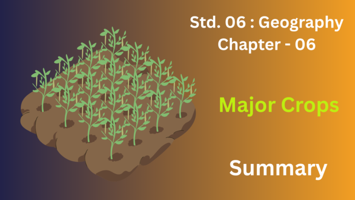 education 85website post - 2026-02-20T200322.681